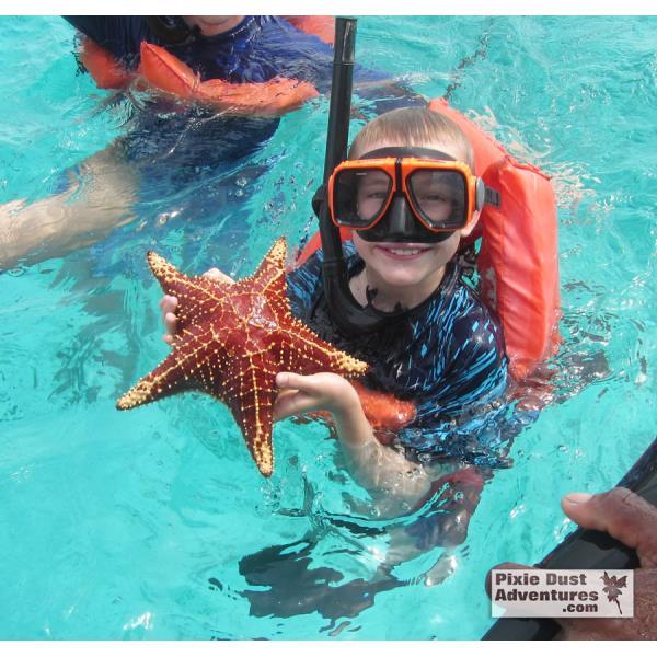 13-Grand Cayman-Starfish
